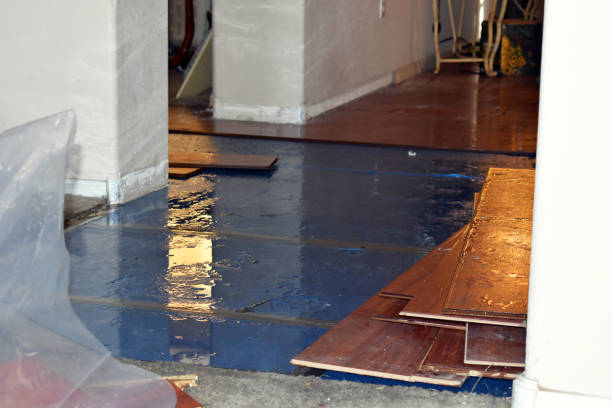Professional Burst Pipe Cleanup technician working in Guilderland Center, NY